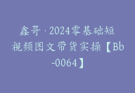 鑫哥·2024零基础短视频图文带货实操【Bb-0064】-51搞钱网