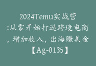 2024Temu实战营:从零开始打造跨境电商，增加收入，出海赚美金【Ag-0135】-51搞钱网