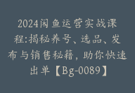 2024闲鱼运营实战课程:揭秘养号、选品、发布与销售秘籍，助你快速出单【Bg-0089】-51搞钱网