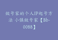 做号家的个人IP起号方法 小镇做号家【Bb-0088】-51搞钱网