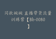 同款婉婉 直播带货流量训练营【Bb-0080】-51搞钱网