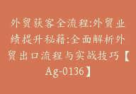 外贸获客全流程:外贸业绩提升秘籍:全面解析外贸出口流程与实战技巧【Ag-0136】-51搞钱网