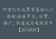 阿里巴巴运营零基础入门教程:涵盖开店、运营、推广，快速成为电商高手【Af-0020】-51搞钱网